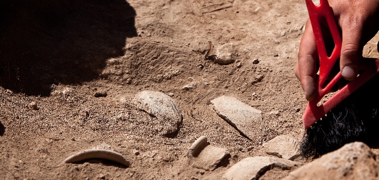 Archäologische Werkzeuge, Archäologe bei der Arbeit vor Ort, Nahaufnahme, Hand und Werkzeug