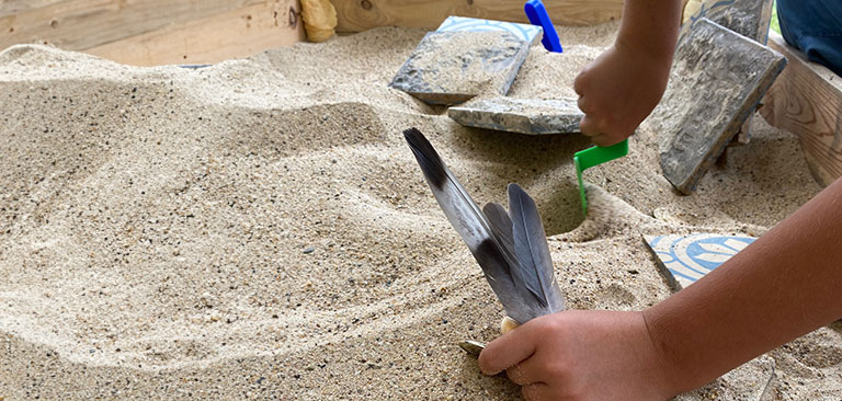 Zwei Kinderhände graben mit Werkzeugen im Sand, entdeckend, mit Muscheln und Platten im Hintergrund.