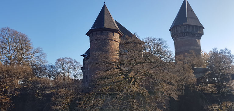 Eine alte Burg mit zwei Türmen und Bäumen im Vordergrund unter blauem Himmel.